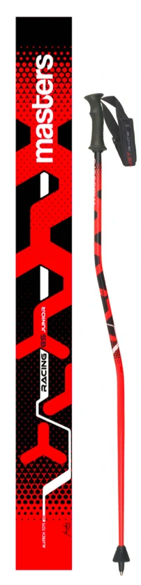 Závodní lyžařské hole Masters GS - 120 cm